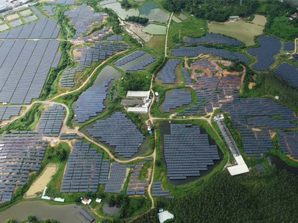 全球足跡 | 抗臺(tái)風(fēng)技能拉滿！陽光能源助力廣東省開平市150MW光伏項(xiàng)目實(shí)現(xiàn)三重收益